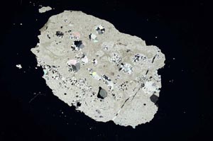 Cross Polarized, S1136