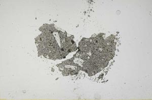 Plane Polarized, S1143