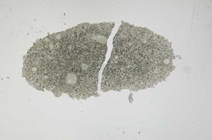Plane Polarized, S1146