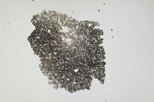 Plane Polarized, S1151