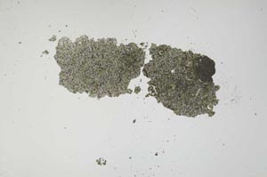Plane Polarized, S1159