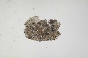Plane Polarized, S1165