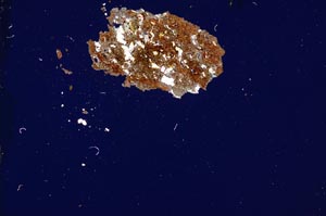 Cross Polarized, S1167