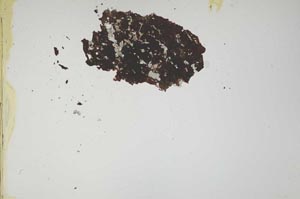Plane Polarized, S1167