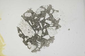 Plane Polarized, S1168
