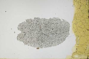 Plane Polarized, S1177