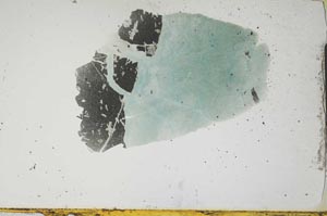Plane Polarized, S1182