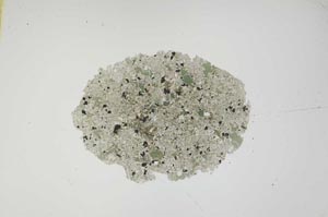 Plane Polarized, S1185