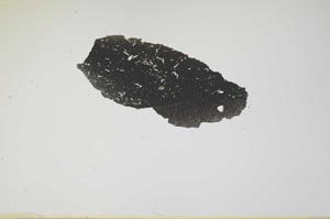 Plane Polarized, S1215/a