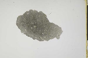 Plane Polarized, S1218/a