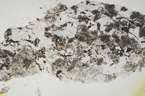Plane Polarized, S1223
