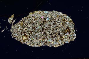 Cross Polarized, S1228