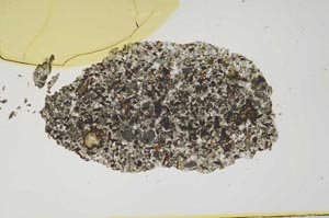 Plane Polarized, S1228