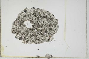 Plane Polarized, S1230/a