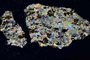 Cross Polarized, S1232