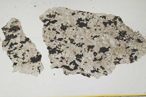 Plane Polarized, S1232