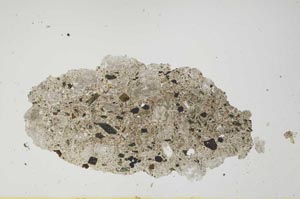 Plane Polarized, S1235