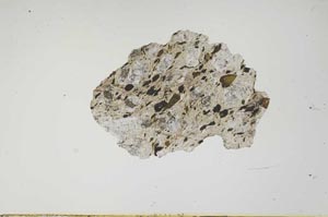 Plane Polarized, S1238