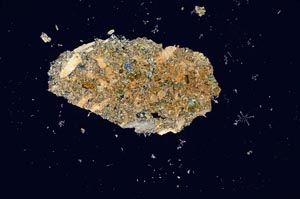 Cross Polarized, S1239