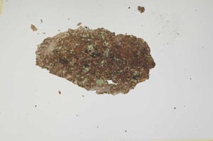 Plane Polarized, S1239