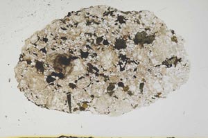 Plane Polarized, S1243