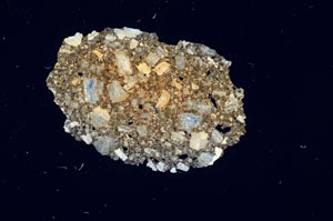 Cross Polarized, S1245