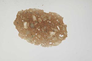 Plane Polarized, S1245