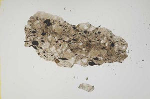 Plane Polarized, S1246