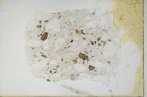 Plane Polarized, S1247/a