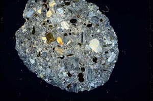 Cross Polarized, S1247/b