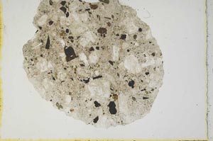 Plane Polarized, S1247/b