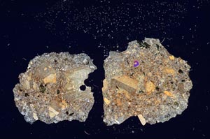 Cross Polarized, S1248