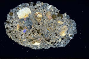 Cross Polarized, S1250