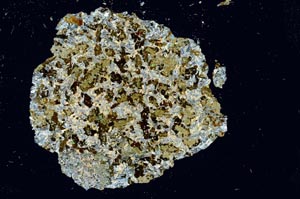 Cross Polarized, S1251