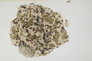 Plane Polarized, S1251