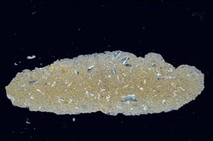 Cross Polarized, S1253