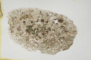 Plane Polarized, S1254