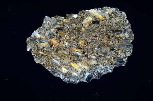 Cross Polarized, S1255