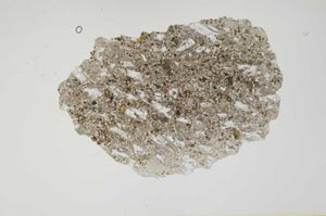 Plane Polarized, S1255