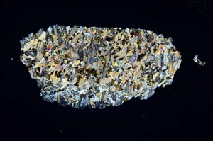 Cross Polarized, S1256