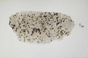 Plane Polarized, S1256