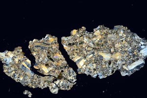 Cross Polarized, S1257