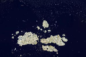 Cross Polarized, S1260