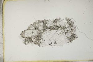 Plane Polarized, S10505