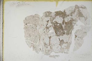 Plane Polarized, S10521