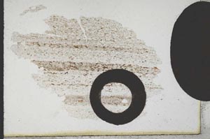 Plane Polarized, S10556