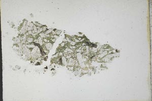 Plane Polarized, S10567