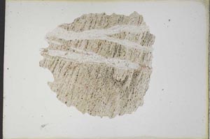 Plane Polarized, S10573