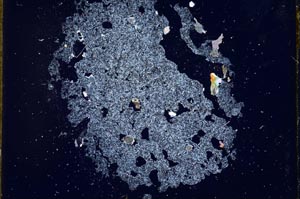 Cross Polarized, S10587