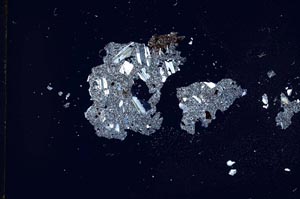 Cross Polarized, S10589